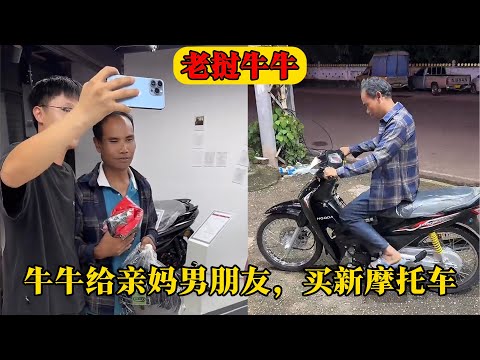 惠英红,岁生日喜收,樊振东签名,世界杯竞猜,2026世界杯,竞猜技巧,赔率分析,赛事预测